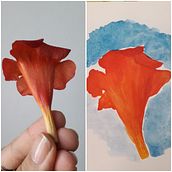 Primer prueba: proyecto de flor natural. Pintura em aquarela projeto de Sinergia Multitienda - 03.03.2020