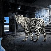 Matte Painting. Digital Design project by Juan Felipe Zapata - 03.03.2020