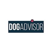 Campaña navideña: DogAdvisor. Creativit project by Silvia Rubí - 03.04.2020