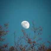 My project in Photo Composition and Editing for Instagram course. Photograph project by Lorenzo Nucci - 03.05.2020