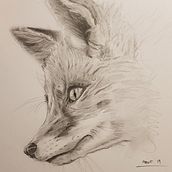 Drawings. Un progetto di Disegno di Michael Fairless - 06.03.2020