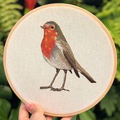 İlk iğne boyama projem: Robin . % mandydelj tarafından hazırlanan Nakış projesi - 03.06.2020