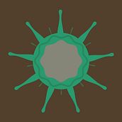 Mi Proyecto del curso: El Covid-19. Een project van  Infographics van Jorge Landivar - 08.03.2020