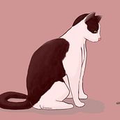 Ilustraciones. Traditional illustration, and Digital Illustration project by Julieta Medina - 03.07.2020