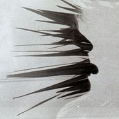 Natura . % sibux_fotografia tarafından hazırlanan Film Fotoğrafçılığı projesi - 09.07.2020