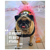 Danxica Social Media. Fine Arts project by Alia Sanchez - 03.10.2020