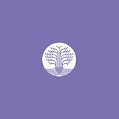 Le Moon Holistic | Branding. Br, ing & Identit project by Éric Arellano - 07.01.2019