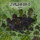 Saldropo NEIPA . % Calamar Cuchara tarafından hazırlanan Ürün Tasarımı, Geleneksel illüstras, Ve on projesi - 02.14.2020