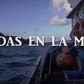 Vidas en la Mar. Un proyecto de Televisión de Eduardo Quintela Rey - 14.03.2019