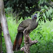 Espontaneidad . Un progetto di Fotografia documentaria e Produzione audiovisiva di Angie Aragón - 13.03.2020