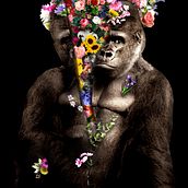COLLAGEANIMAL. Un proyecto de Fotografía y Fotografía artística de Ana Sanz González - 13.03.2020