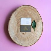 Ameri Goikoa™ - Brand Identity. Br, ing, Identit, and Graphic Design project by Antton Ugarte Ibarrondo - 03.14.2020