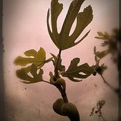 Aprender algo útil; por ejemplo diseñar rapports.... Un proyecto de Pintura de Ángel Iglesias - 14.03.2020