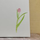 My project in Botanical Illustration with Watercolors course. Watercolor Painting project by aisha_almarzoogi - 03.15.2020