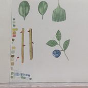 Botanical. Watercolor Painting project by aisha_almarzoogi - 03.15.2020