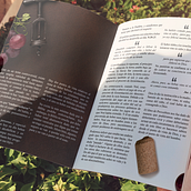 Cartilla Informativa. Editorial Design, and Graphic Design project by Marcelo Iriarte - 01.15.2020