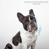 Ikun.. Photograph, Studio Photograph, Portrait Photograph, and Photographic Lighting project by Jordi Calvera Solé - 04.09.2020