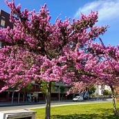 Destino. Un progetto di Fotografia per Instagram di victor_gomez_martinez2 - 16.03.2020