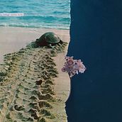 Migrar Ein Projekt aus dem Bereich Collage von Viviana Riascos Cataño - 13.10.2019