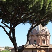 Fotografia - Dias ensolarados em Roma . % Maria Eliza Marzano tarafından hazırlanan Fotoğrafçılık, Dijital Fotoğrafçılık, Ve Açık Hava Fotoğrafçılığı projesi - 09.30.2018