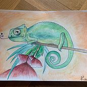 DIBUJOS. Un proyecto de Bellas Artes de Rocio Pérez Armenteros - 18.03.2020