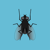 Fly. Un projet de Illustration vectorielle de Oscar Merling Conde - 18.03.2020