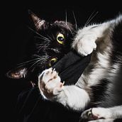 Estudio en casa, única modelo a mano, Noa. . % Aranzazu Mata Bailera tarafından hazırlanan Fotoğrafçılık, Stüd, o Fotoğrafçılığı, Dijital Fotoğrafçılık, Fotoğrafik A, Ve dınlatma projesi - 03.20.2020