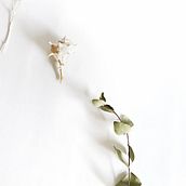 Mi Proyecto del curso: Fotografía profesional para Instagram. Mobile Photograph project by arbideirune - 03.20.2020