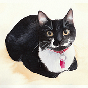 Peluditos. Een project van Traditionele illustratie van Marisol Jarpa Videla - 20.03.2020
