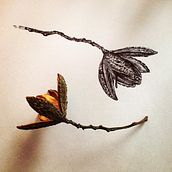 Maticas Silvestres Ein Projekt aus dem Bereich Zeichnung und Botanische Illustration von Nathalia López Zambrano - 21.03.2020