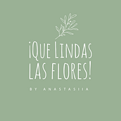 #ProyectoFinal: Un Instagram diferente para unas flores diferentes. . % Andrea García tarafından hazırlanan İletişim, Grafik Tasarım & Instagram Fotoğrafçılığı projesi - 03.21.2020
