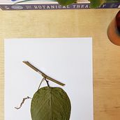 Meu projeto do curso: Exsicate. Projekt z dziedziny Fotografia na Instagram użytkownika victordoneida - 21.03.2020