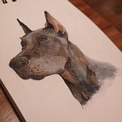 Mi Proyecto del curso: Técnicas experimentales de acuarela para principiantes . Watercolor Painting project by Pedro Armas - 03.22.2020