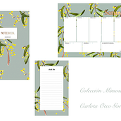 Colección Mimosa. Drawing, Traditional illustration, Botanical Illustration, and Watercolor Painting project by carlotaotege23 - 03.22.2020
