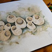 Tunicates. Fine Arts project by Myriam - 04.18.2020
