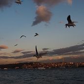 F**K OFF . % Naiara Zalbidea tarafından hazırlanan Portre Çizimi, Dijital Tasarım, Geleneksel illüstras, on, Dijital İllüstras, on & Instagram projesi - 03.11.2020