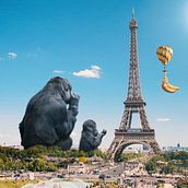 Gorila en Paris. Creativit project by Eduu Sandoval - 03.26.2020