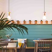 El Curry Verde by Hiruki studio. Architecture project by Lo Txu - 03.27.2020