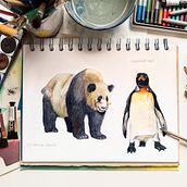Acuarelas. Desenho, Ilustração tradicional, Desenho artístico, Ilustração botânica, e Pintura em aquarela projeto de Inés Sanz - 28.03.2020