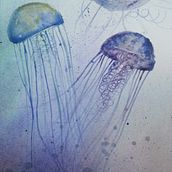 Mi Proyecto del curso: Técnicas modernas de acuarela Ein Projekt aus dem Bereich  von Ayxa V Riascos - 26.03.2020