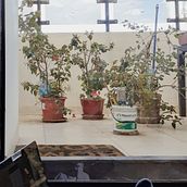 Mi Proyecto del curso: Fotografía profesional para Instagram. Un proyecto de Fotografía digital y Fotografía de Mabel Ballón - 03.04.2020
