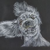 Ilustración con pastel y lápices de colores, sobre cartulina negra . % Paco Ruiz tarafından hazırlanan Geleneksel illüstras, Ve on projesi - 03.31.2020