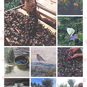 My project in Introduction to Personal Storytelling course. Un progetto di Comunicazione, Illustrazione tradizionale, Composizione fotografica, Stor, telling e Scrittura di Phoebe Katherine Hunter - 01.04.2020