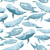 Whales. Projekt z dziedziny Trad, c, jna ilustracja i Pattern design użytkownika Gloria CaRo - 20.03.2020