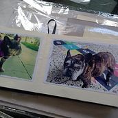 Un año en (tus propias) Imàgenes. Un progetto di Rilegatura di Fernanda Montani - 02.04.2020