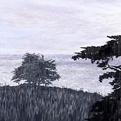 Zapallar . Ilustração digital projeto de Ana Méndez Cofré - 11.11.2019