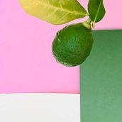 Mi proyecto: Fondos de plantas y cartulinas Ein Projekt aus dem Bereich Mobile Design, Artistische Fotografie und Botanische Illustration von Sandra DM - 27.04.2020
