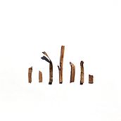 COVID-Trash. Fine Arts, Creativit, Design, and Graphic Design project by Joan Maria Roig Ortiz - 04.03.2020