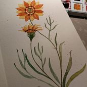 Dsd mi ventana. Fine Arts project by Laura Gutierrez - 04.04.2020