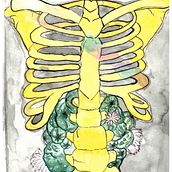 dibujo anatomico y acuarelas Ein Projekt aus dem Bereich Zeichnung und Aquarellmalerei von Anto Zuniga - 05.04.2020